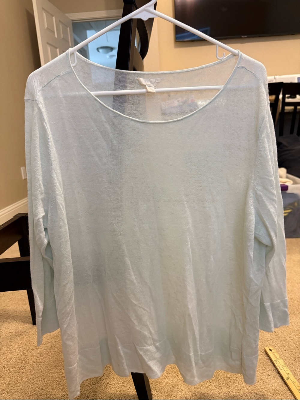 Eileen Fisher Pale Blue Lightweight Long Sleeve Scoop Neck Top